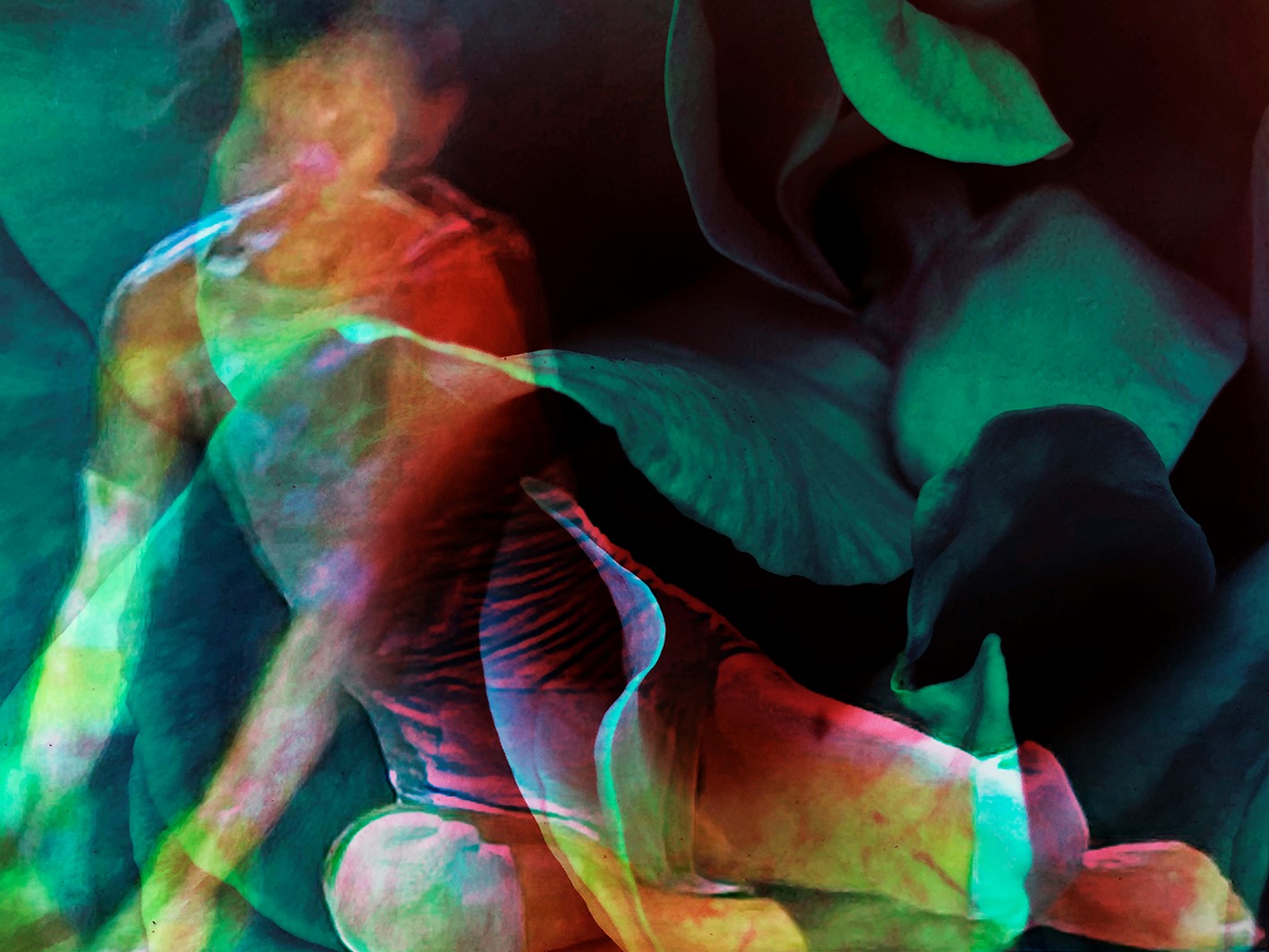 September Feature: In Conversation-Artist Suzan Tokcan about her Flower Power series, a dazzling world of shimmering flower imagery, JM Gallery,  21-26th September