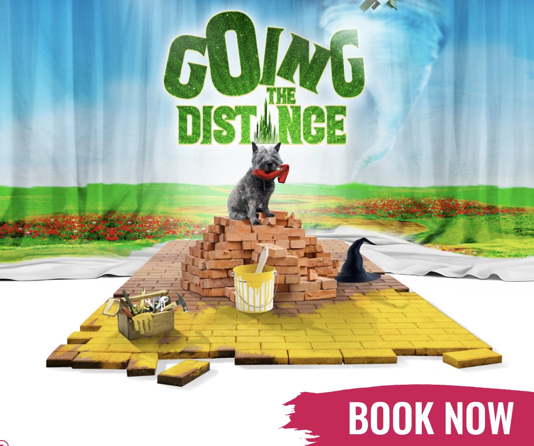 Going the Distance – Digital Comedy Review