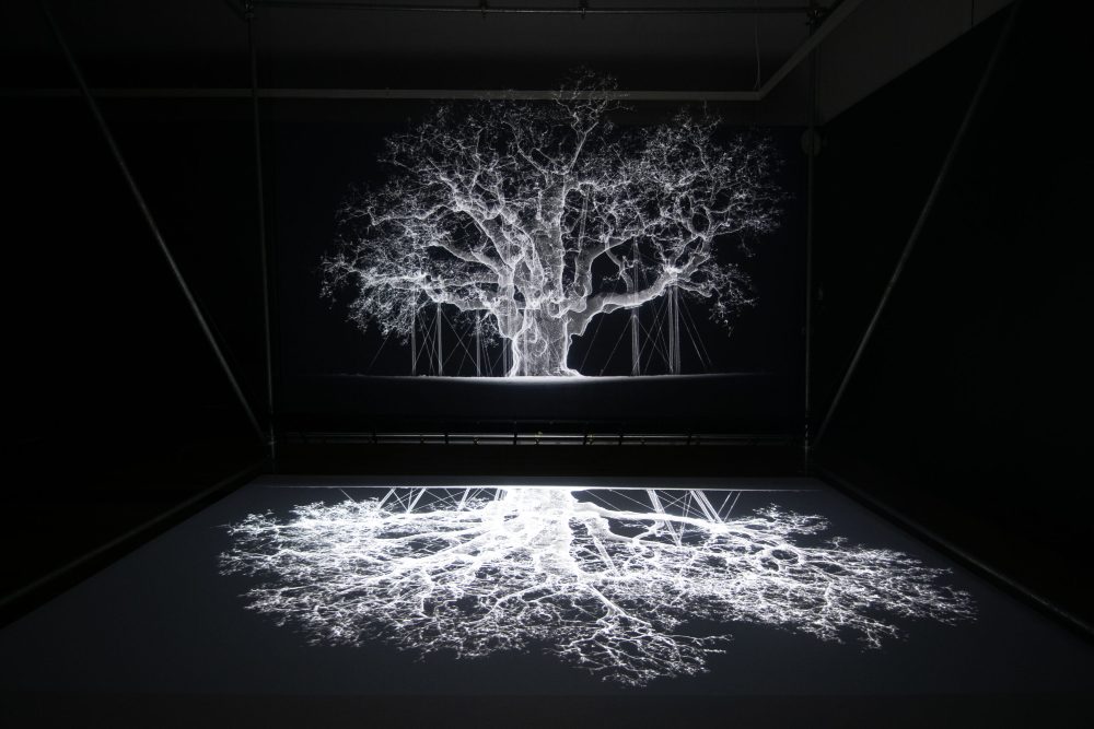 Review: Petrichor by Mat Collishaw “forges a blossoming relationship between Artificial Intelligence (AI) and nature”-Shirley Sherwood Gallery, Kew Gardens – until 7 April 2024