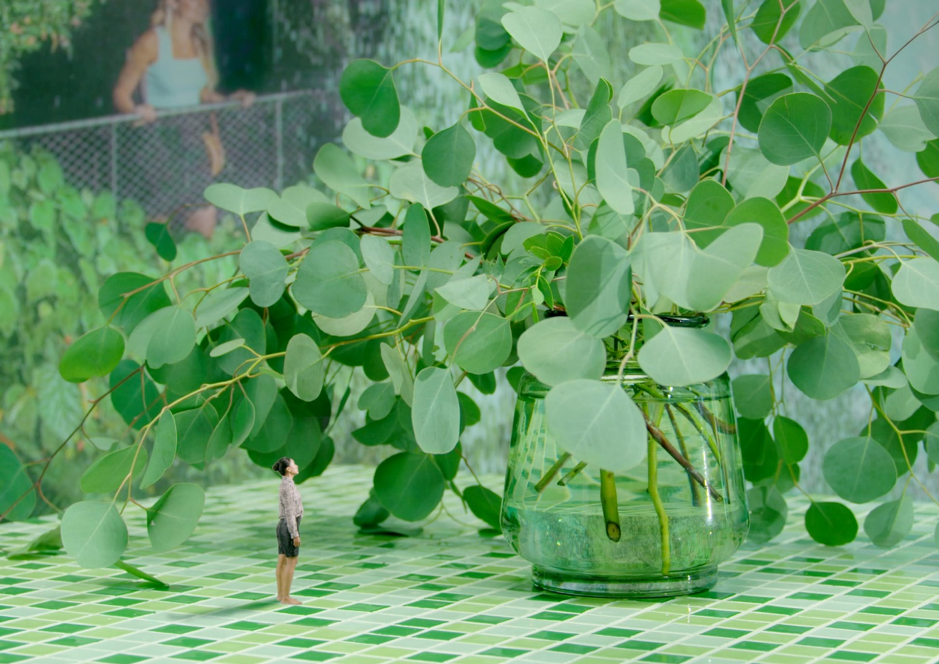 If We Delete Green, If We Start Caring About Plants – Exhibition Review