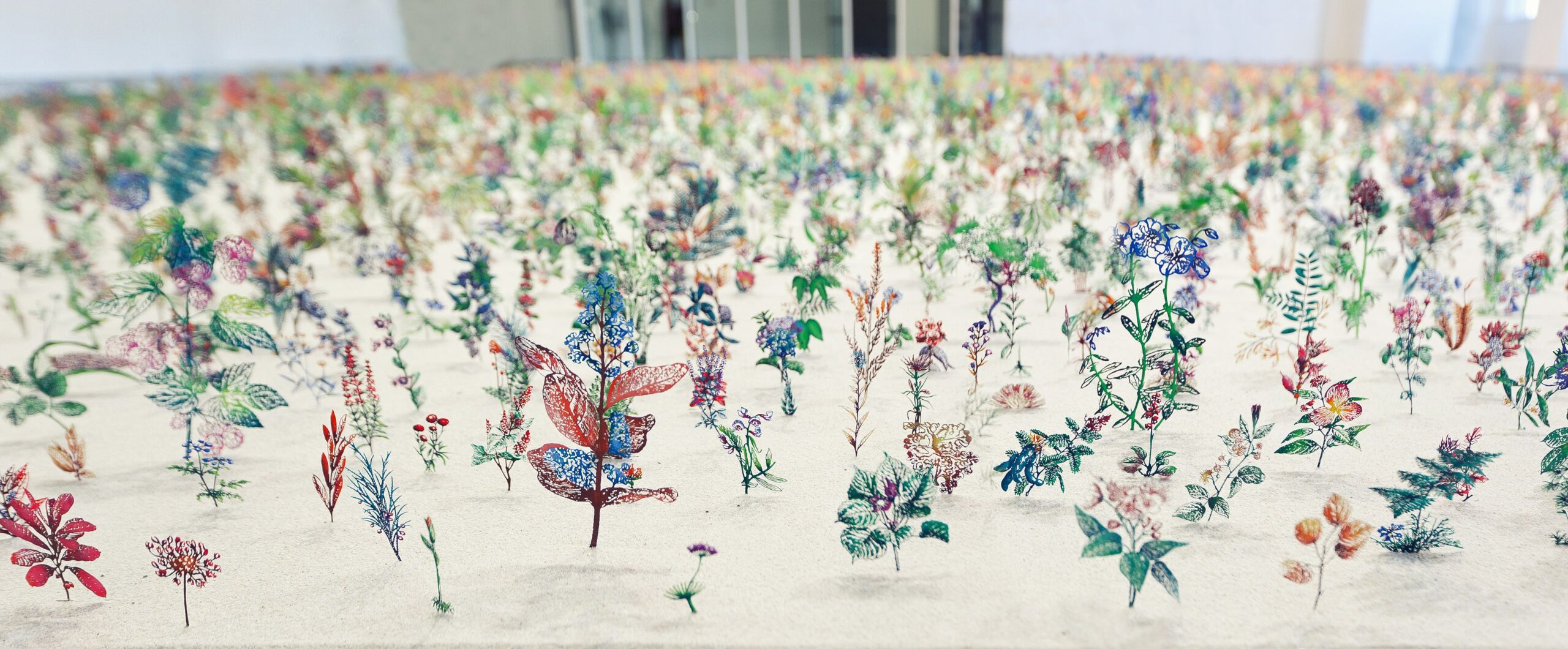 Natural Reserve Exhibition at Kew Gardens Review
