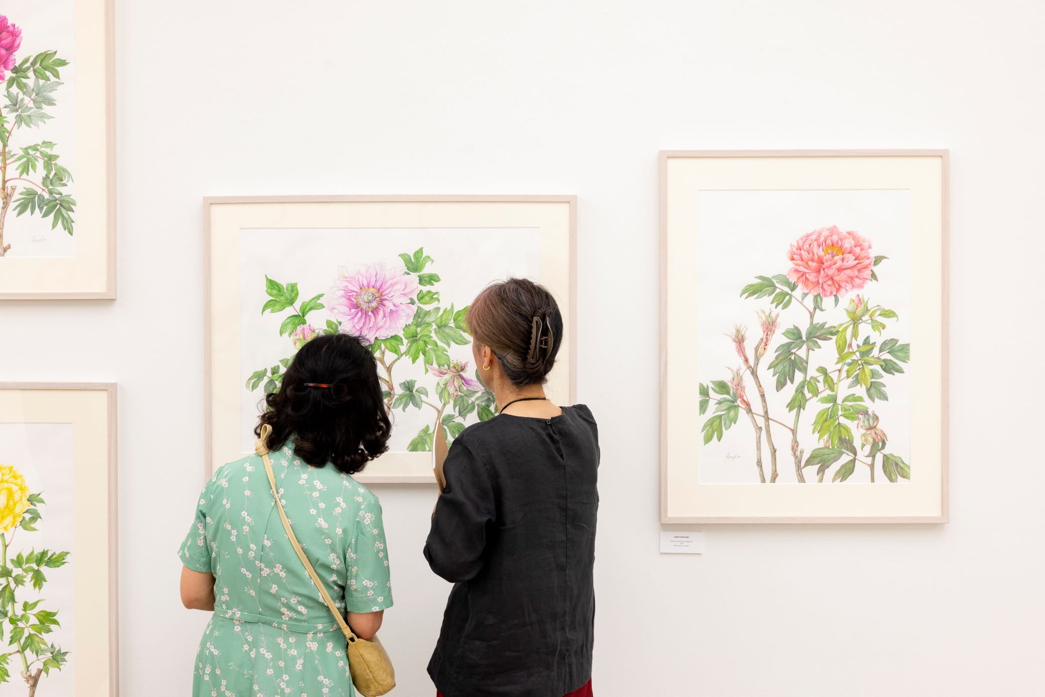 Review: The RHS Botanical Art & Photography Show 2023 ‘truly blossoms at Saatchi Gallery’ 16 June – 9 July