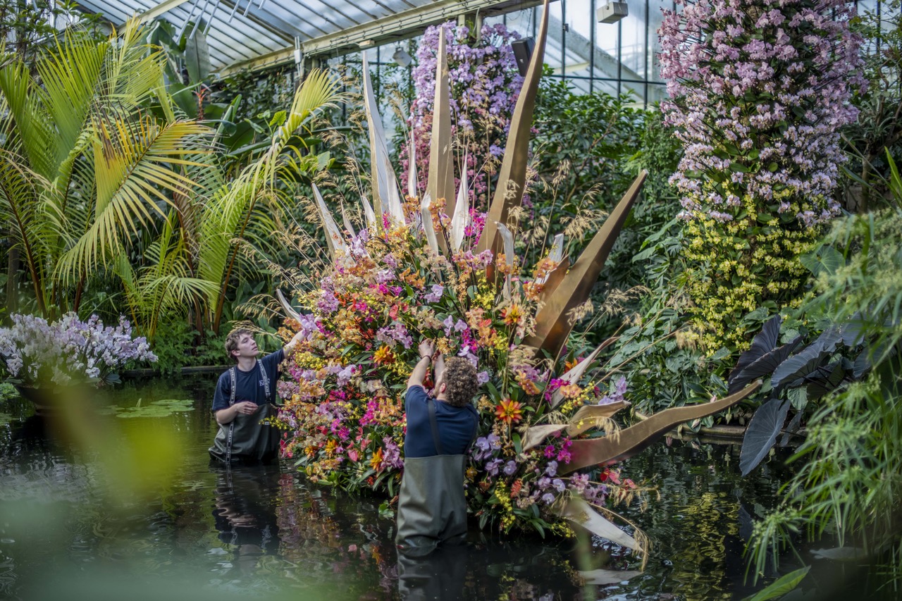 Costa Rica blooms at Kew's Orchid Festival 2022 – Abundant Art